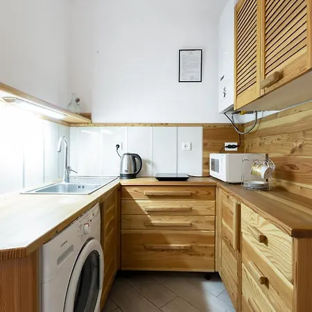 Appartement на романчука в центрі Lviv